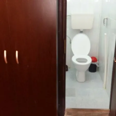 Homestay Casa Voinea *