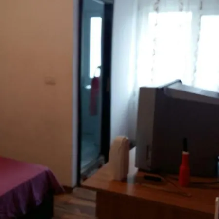 Casa Voinea Homestay