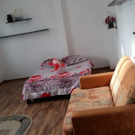 Homestay Casa Voinea *
