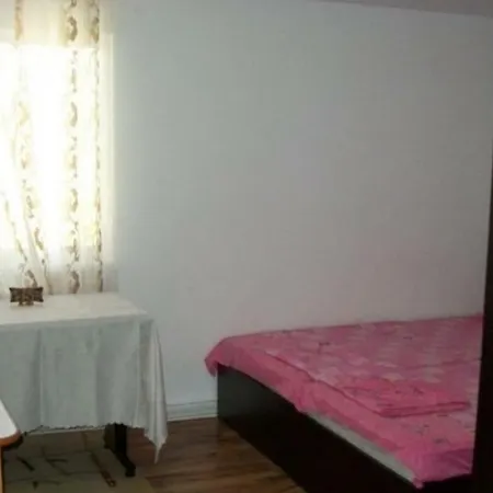 Casa Voinea Homestay