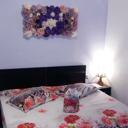 Homestay Casa Voinea *