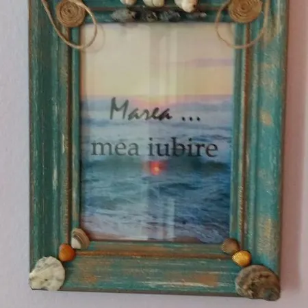Casa Voinea Homestay